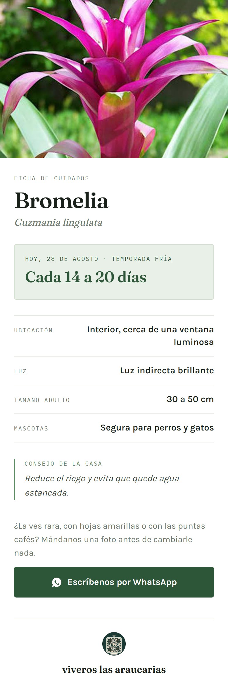Ficha real que abre la etiqueta digital de Viveros Las Araucarias: foto de la planta, cuidados y botón de WhatsApp